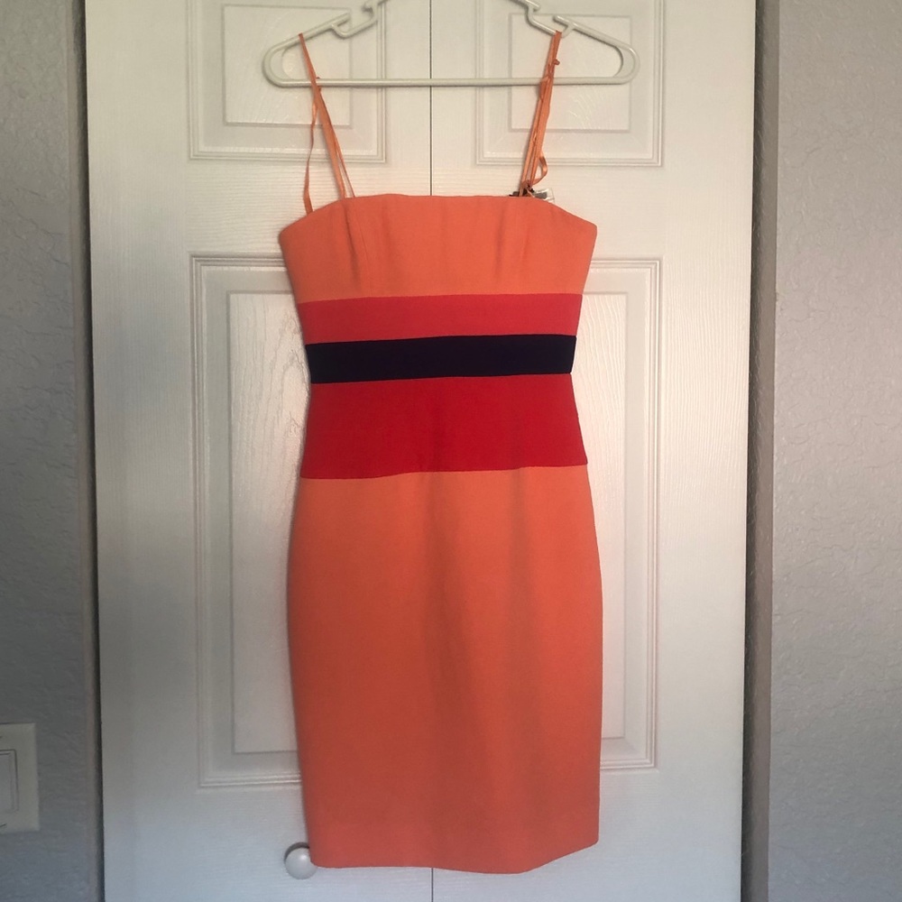 BRAND NEW BCBG “reesie” dress